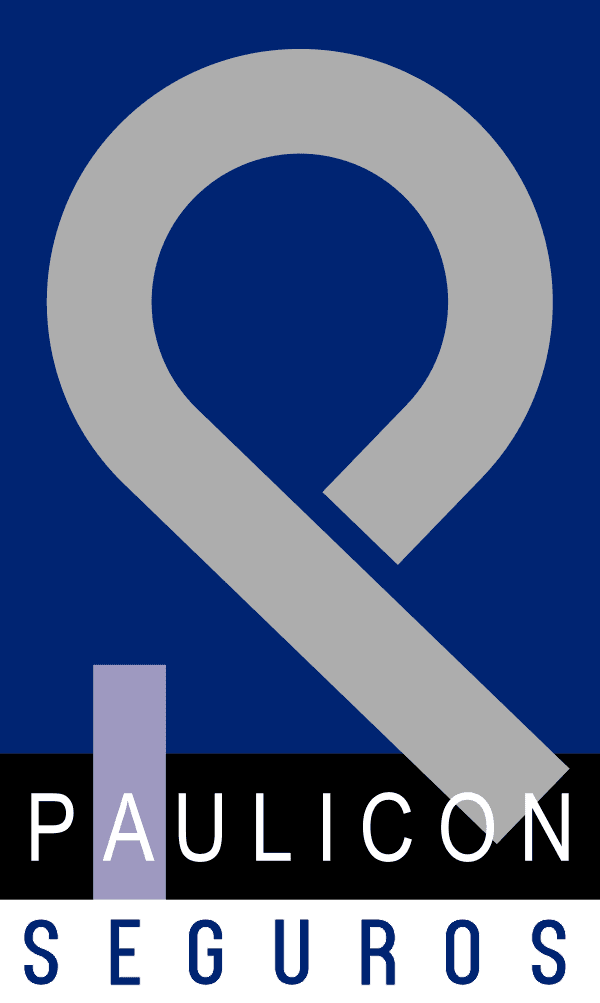 Paulicon Seguros
